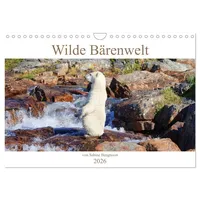Calvendo Wilde Bärenwelt (Wandkalender 2026 DIN A4 quer), CALVENDO