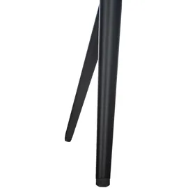 CLP Esszimmerstuhl Langford creme/Kunstleder