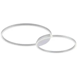 Paul Neuhaus Q-Kate 2-flg.