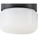 Stahlwille Kopf f.Schonhammer 10959 D.40mm 38g - Stahlwille