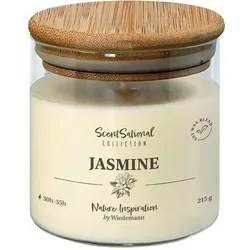 Wiedemann Kerzen Duftkerze im Glas "Jasmine" 215g, 1 Stück
