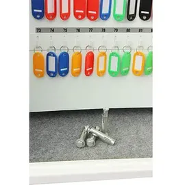 Phoenix Cygnus Key KS0033E