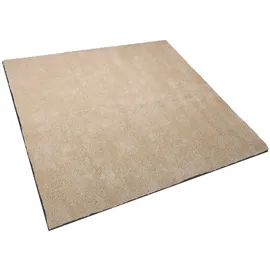 Beliani Shaggy-teppich Demre Beige 200 x 300 cm
