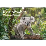 Seelenzauber Koalazauber Immerwährender Kalender DIN A3 Koalabären, Koala - Seelenzauber