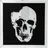 Kare Frame Mirror Skull