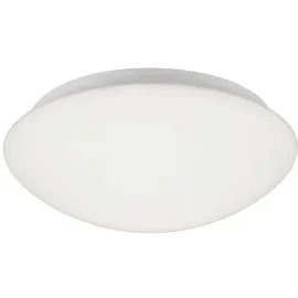 Novel Deckenleuchte 1 Weiß Glas 11 cm