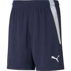 Puma Teamliga Shorts Jr peacoat-puma white (06) 128