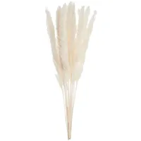 BUTLERS Trockenblumen FLOWER MARKET Pampasgras in Beige | Gr.: onesize