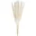BUTLERS Trockenblumen FLOWER MARKET Pampasgras in Beige | Gr.: onesize