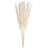 BUTLERS Trockenblumen FLOWER MARKET Pampasgras in Beige | Gr.: onesize