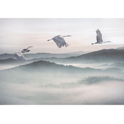 KOMAR Vliestapete, Vögel, bunt - grau