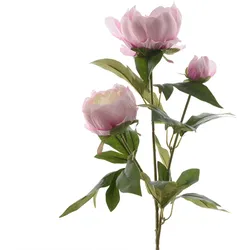 Pfingstrose mit 2 Blüten und Knospe am Stiel - Kunstblume - H: 75cm - rosa