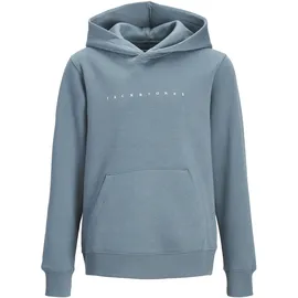 JACK & JONES JJESTAR Blue 176