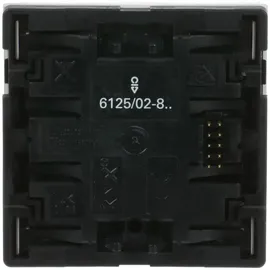 Busch-Jaeger Tastsensor 1/2fach 6125/02-84