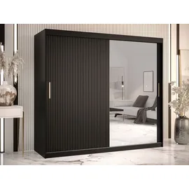 Mirjan24 Schwebetürenschrank Riflo Slim 2 200 x 200 x 0 cm Schwarz/Gold
