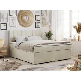 MKS Meble Boxbett mit Bettkasten - beige - Maße (cm): B: 200 H: 118