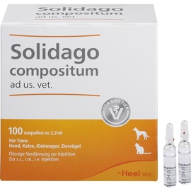 Heel Solidago Comositum ad us.vet. Ampullen 100 x 2,2 ml