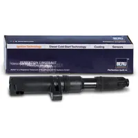 BorgWarner (Beru) BERU Zündspule