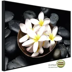 papermoon Infrarotheizung »EcoHeat - Blumen mit Steinen«, Matt-Effekt - bunt