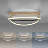 Q-Smart-Home Paul Neuhaus Q-Beluga LED-Deckenleuchte, messing