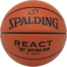 Spalding React TF-250 Composite Indoor/Outdoor 6