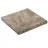 Diephaus Terrassenplatte Muschelkalk 40 x 40 x 4 cm