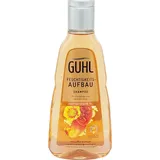 GUHL IKEBANA Feuchtigkeits-Aufbau 250 ml