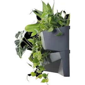 Prosperplast Cascade Garden 78 x 19 x 35 cm Anthrazit
