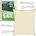 2m