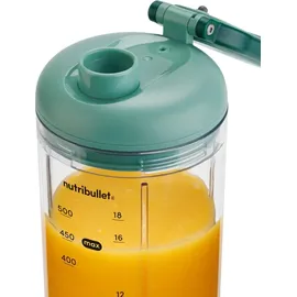 nutribullet NB Flex Portable NBP013GR Smoothie-Maker