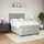 vidaXL Boxspringbett 140 x 200 cm Hellgrau