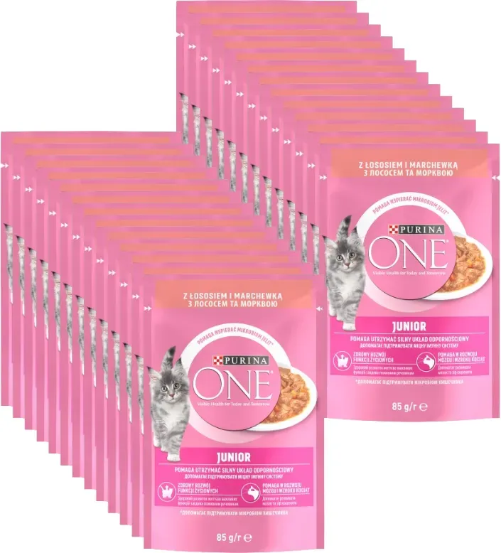 Purina One Junior mit Lachs und Karotten 26x85g