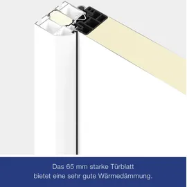 Hörmann THP 610S links 110 x 210 cm anthrazitgrau