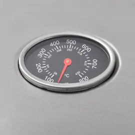 vidaXL Gasgrill 4+1 Brenner silber 41902