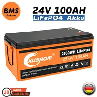 NEU 24V 100Ah Lithium Batterie LiFePO4 Akku BMS Solarbatterie Solaranlage Boot