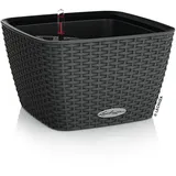 LECHUZA Bacino Cottage Komplettset 30 x 30 x 18 cm granit