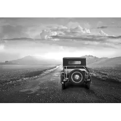 Fototapete PAPERMOON "Landschaft mit Auto Schwarz Weiß", bunt, B:2,50m L:1,86m, Vlies, Tapeten