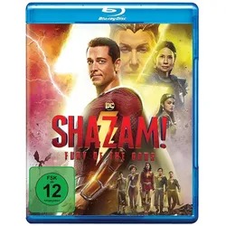 Shazam! Fury of the Gods (Blu-Ray)