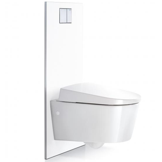 Geberit Designplatte für AquaClean Sela, Mera und Tuma WC-Komplettanlage an UP-Spülkasten, 115329111