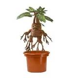 The Noble Collection Noble Collection Harry Potter Mandrake Interaktiver Teddy - Orange / Brown - One Size