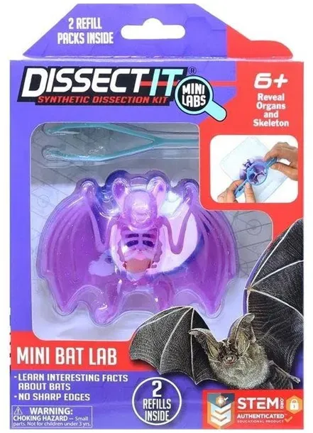 Bat In Giftbox