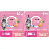 PURINA ONE | BIFENSIS | Kätzchen bis zu 12 Monate und Katzen in der Schwangerschaft | Trockenfutter | hilft bei der gesunden Entwicklung der Vitalfunktionen der Katze | Lachs | Beutel | 1,5 kg