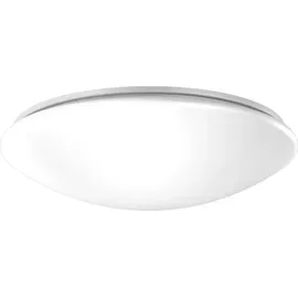 RZB LED-Decken-/Wandleuchte 311946.002.1