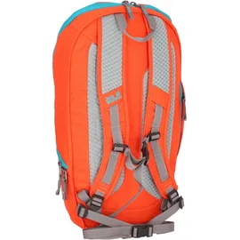 Jack Wolfskin Ecoloader 24 Pack wild brier