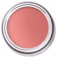 Bobbi Brown Pot Rouge Velvet Matte 8,50 g