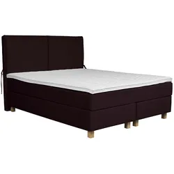 Boxspringbett HOME AFFAIRE "Nele", lila, B:141cm L:210cm, Struktur fein (100% Polyester), Samtvelours (100% Polyester), Komplettbetten, Boxspringbett, inkl. Topper im schlichtem Design