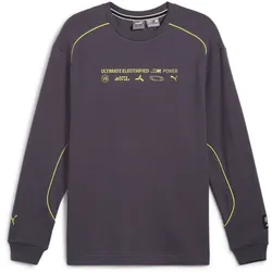PUMA BMW M Motorsport Statement Langarmshirt Herren 06 - galactic gray S