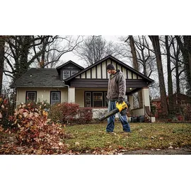 DeWalt DCM562P1