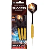 BULL'S Success Steeldarts 23 g