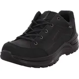 Lowa Renegade Evo GTX Lo Herren schwarz/schwarz 44,5